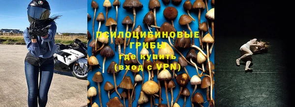 СК Алзамай